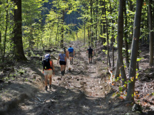 Mariazellwallfahrt 2025 © Rochus Hetzendorfer