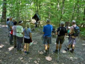 Mariazellwallfahrt 2025 © Rochus Hetzendorfer