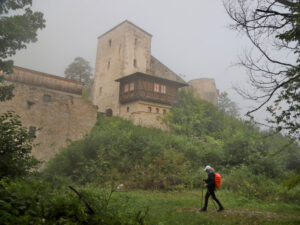 Mariazellwallfahrt 2025 © Rochus Hetzendorfer