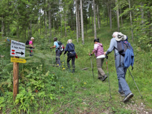 Mariazellwallfahrt 2025 © Rochus Hetzendorfer