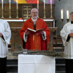 Palmsonntag 2026 © Herwig Reidlinger