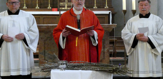 Palmsonntag 2026 © Herwig Reidlinger